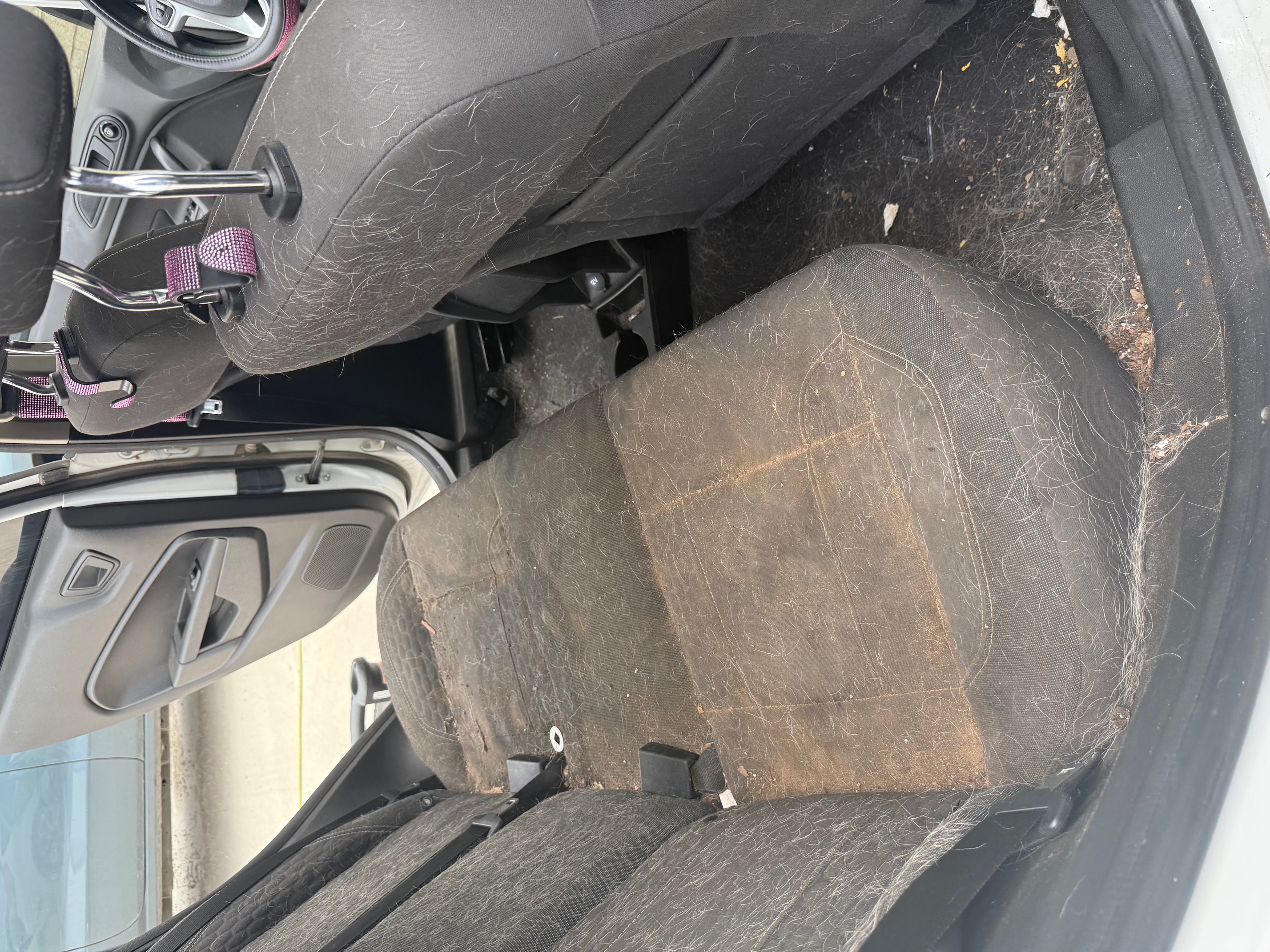 Before — rear seat